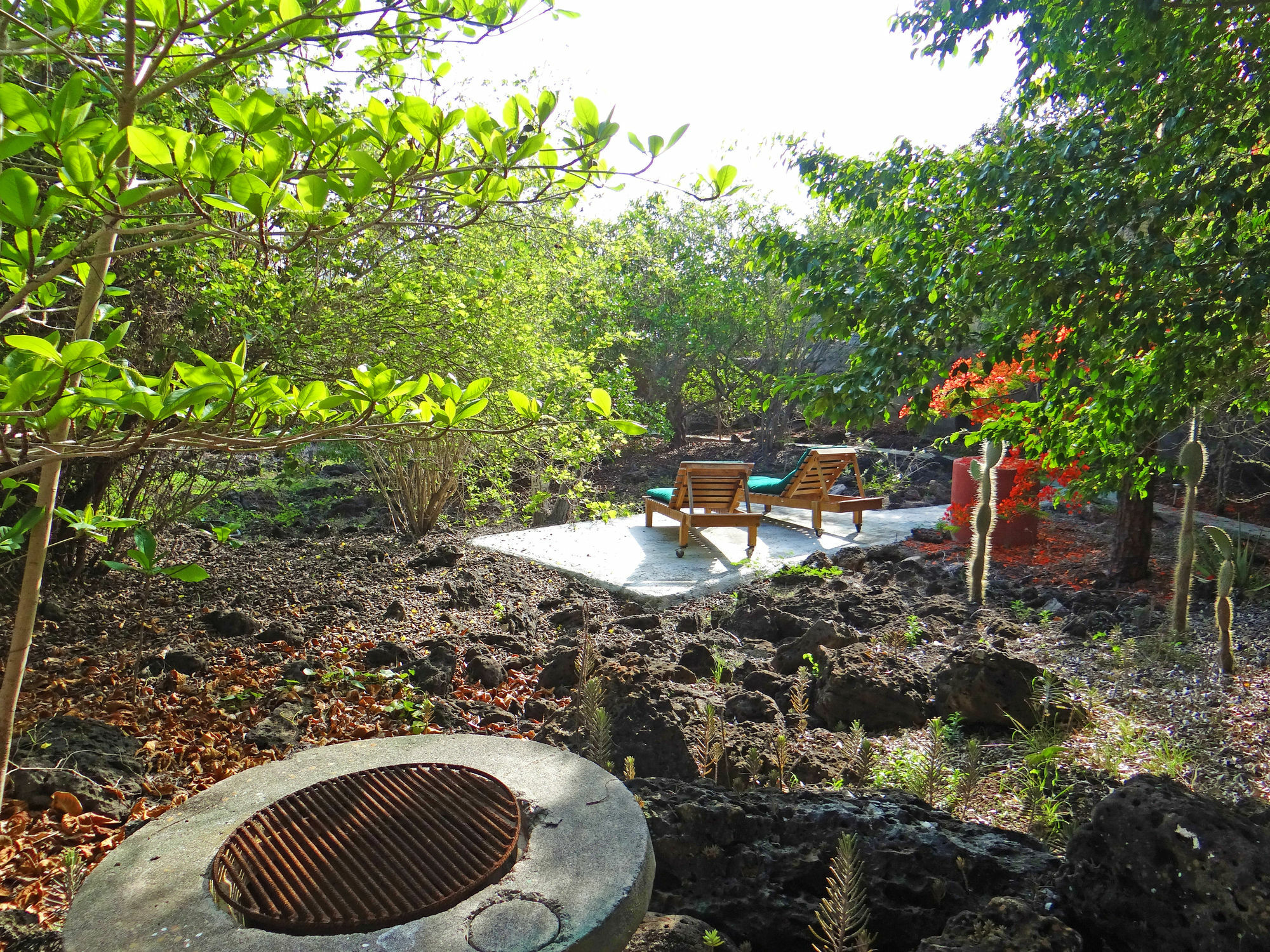 Galapagos Chalet Пуерто Айора Екстериор снимка