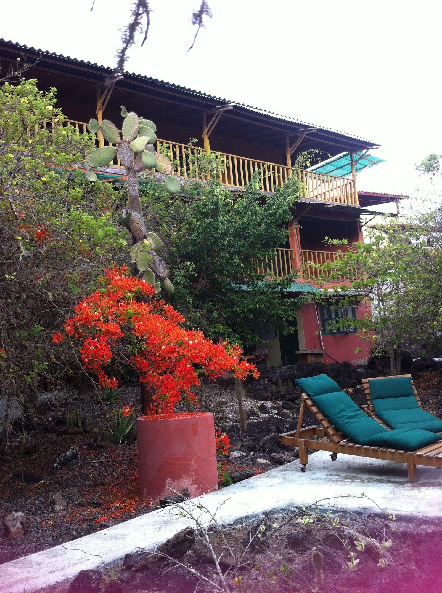 Galapagos Chalet Пуерто Айора Екстериор снимка